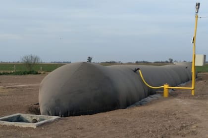 El biodigestor tiene 35 metros de largo