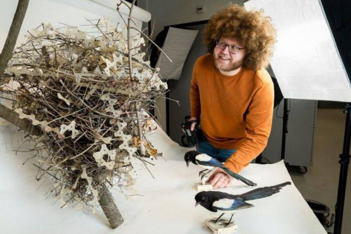 El biólogo Auke-Florian Hiemstra dice que las aves parecen estar usando las púas como los humanos pretendían: para mantener alejados a sus depredadores