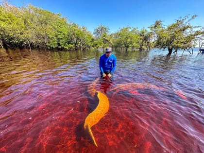 El biólogo mantiene una estrecha relación con los delfines del Amazonas