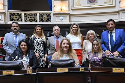 El bloque de diputados libertarios bonaerenses que se despegó de LLA.