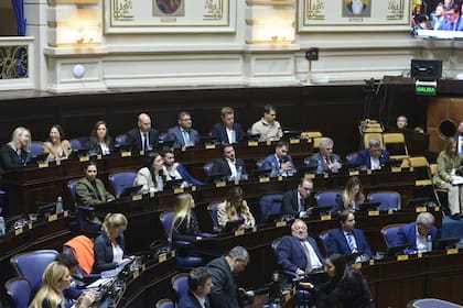 El bloque de La Libertad Avanza en la Cámara de Diputados, en la frustrada sesión por IOMA de este jueves
