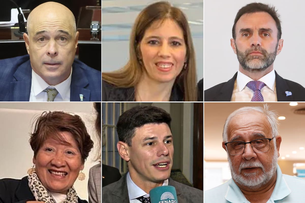 El bloque de senadores de La Libertad Avanza: Bartolomé Abdala, Ivanna Arrascaeta, Ezequiel Atauche, Vilma Bedia, Bruno Olivera y Juan Carlos Pagotto; entre los seis, tienen 88 asesores en la cámara