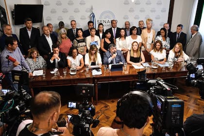 El bloque de senadores kirchneristas presiona para tratar en la Cámara alta la validez del DNU de Milei