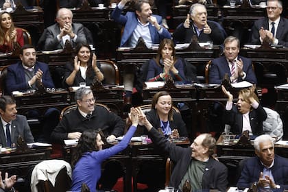 El bloque kirchnerista festeja la insistencia a la ley de emergencia en discapacidad