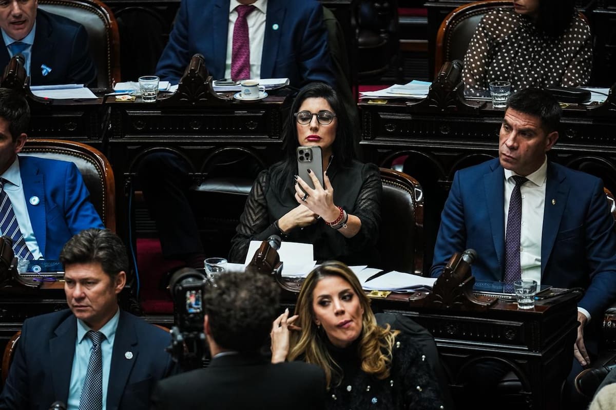 El bloque libertario durante el debate en Diputados