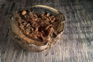 El borojó es una fruta tropical que ayuda a regular la hipertensión (Imagen ilustrativa)