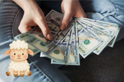 El borreguito del dinero es un amuleto y ritual muy popular en México, usado en Navidad y Año Nuevo (Unsplash)