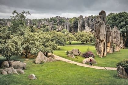 El Bosque de Piedra abarca aproximadamente 1100 kilómetros cuadrados