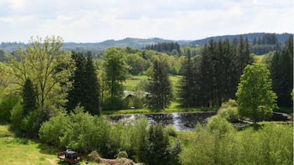 El bosque donde los alemanes fueron fusilados