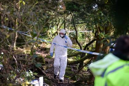 El bosque donde se encontró el cráneo