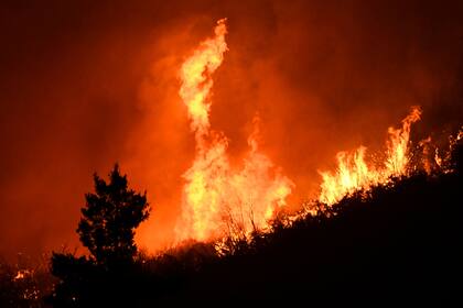 El bosque incendiado en Angeles National Forest, en California