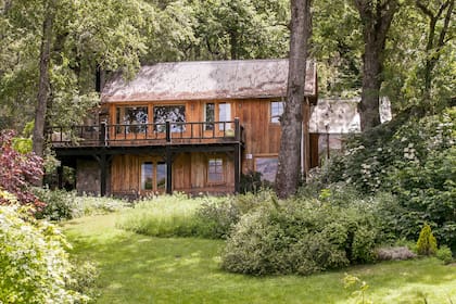 El bosque que rodea la casa es de robles pellín, un árbol muy alto, de 25 a 30 metros, y que no se parece en nada a los americanos o europeos.
