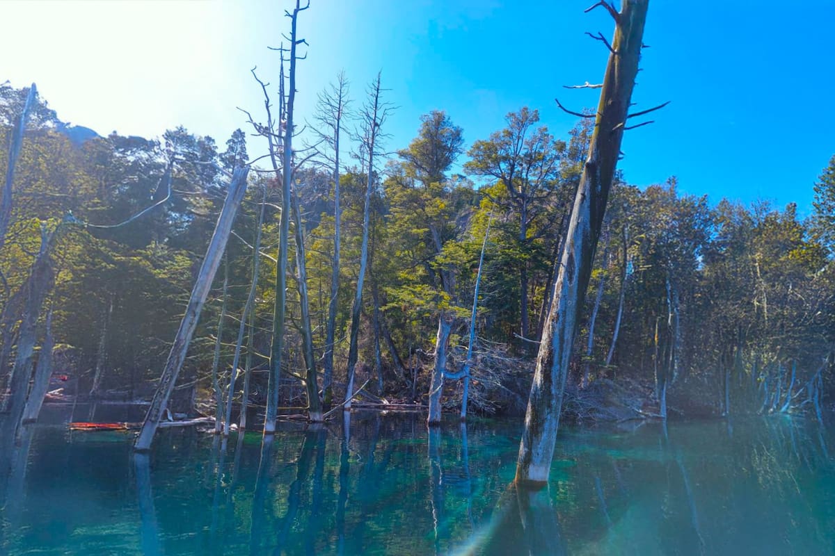 El bosque sumergido, uno de los atractivos más destacados de Villa Traful