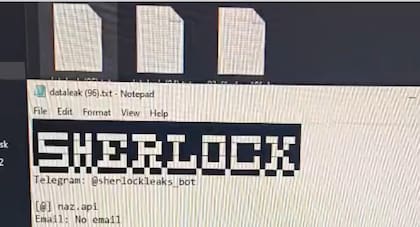 El bot Sherlock fue usado para adquirir las credenciales necesarias para robar las bases de datos