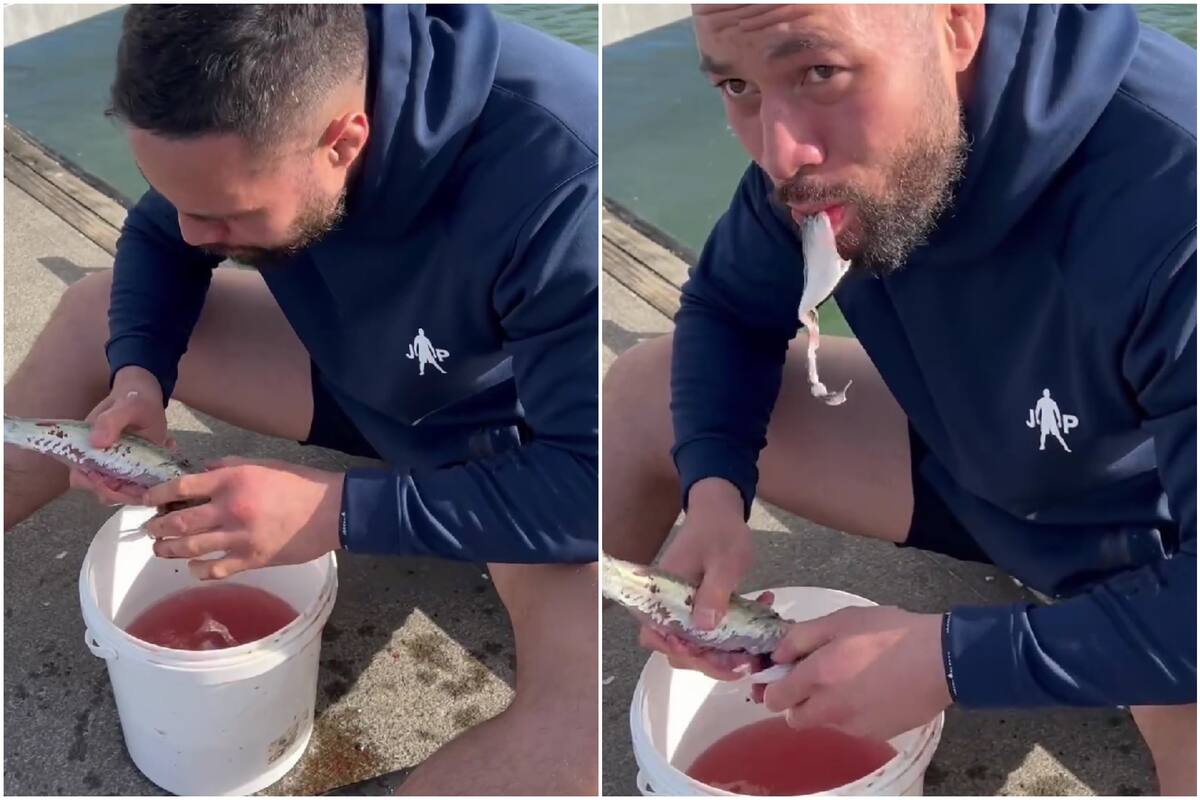 El boxeador Joe Parker come pescado crudo y desata la polémica