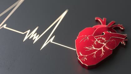 El brócoli es beneficioso para el corazón porque su bajo contenido en grasas y su alto aporte de fibra ayudan a reducir los niveles de colesterol LDL en la sangre, lo que contribuye a la salud cardiovascular