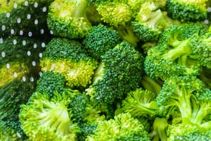 El brócoli es un alimento muy versátil (Foto: Freepik)