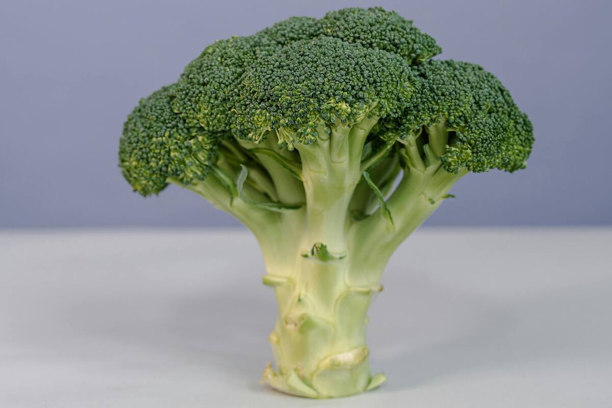 El brócoli es uno de los vegetales que más beneficios tiene para la salud por sus compuestos químicos; conocé tres opciones saludables para no desechar su tallo
