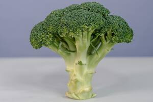 El brócoli es uno de los vegetales que más beneficios tiene para la salud por sus compuestos químicos; conocé tres opciones saludables para no desechar su tallo