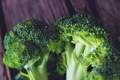 El brócoli se destaca su contenido en vitamina A (en forma de beta-carotenos), vitamina C, ácido fólico, potasio y hierro (Foto ilustrativa: PIXABAY)