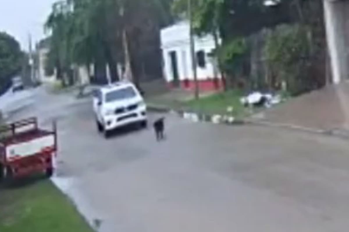 El brutal episodio se registró en la localidad correntina de Goya