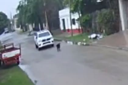 El brutal episodio se registró en la localidad correntina de Goya