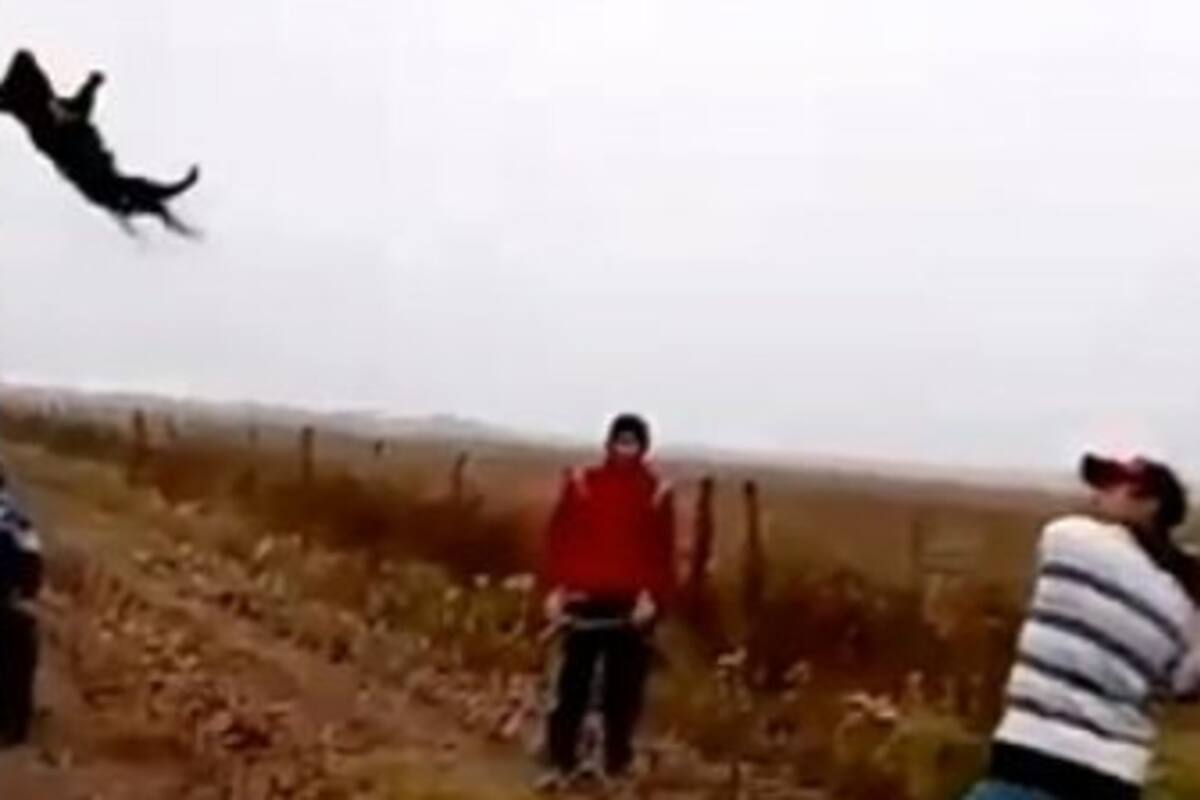 El brutal episodio sucedió en el estado mexicano de Veracruz