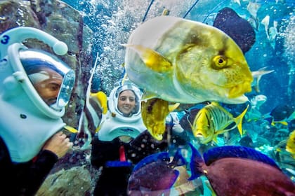 El buceo es una propuesta diferente y es demandada por los visitantes