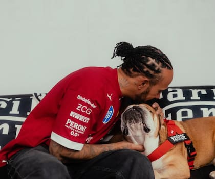 El bulldog y Hamilton llevan 12 años al lado (X: @roscoelovescoco)