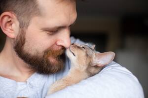 El bunting es una acción que puede tener diversos significados y revela el estado de ánimo de tu gato