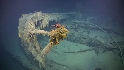 El buque japonés estaba hundido a más de 800 metros de profundidad en Iron Bottom Sound