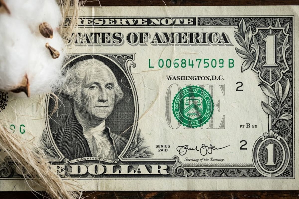 El Bureau of Engraving and Printing señala que el sustrato incorpora fibras rojas y azules distribuidas de manera aleatoria, lo que complica la imitación