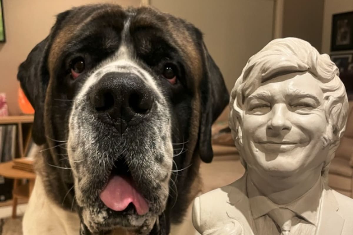 El busto que envió Milei a la cuenta de Instagram "Sullivan el mastín pío"