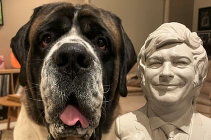 El busto que envió Milei a la cuenta de Instagram "Sullivan el mastín pío"