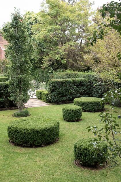 El buxus tiene buena resistencia a las altas temperaturas, las sequías y los vientos. Es muy utilizado para dar forma, sectorizar y dar estructura a un jardín.