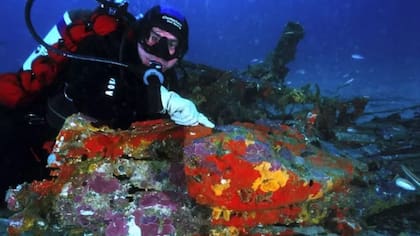 El buzo Luc Vanell se sumergió varias veces en el mar Mediterráneo hasta encontrar el avión de Antoine de Saint-Exupéry