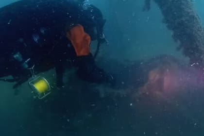 El buzo que identificó los restos del naufragio, Fabio Bisciotti, dijo que estaban sorprendentemente en buenas condiciones (Foto: Pen news)