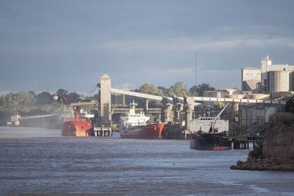 El CAA apunta a exportar por más de US$100.000 millones. Los productores alertan que debe bajar la presión impositiva