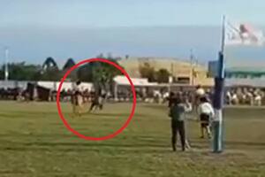 El caballo cayó sobre Páez y lo arrastró