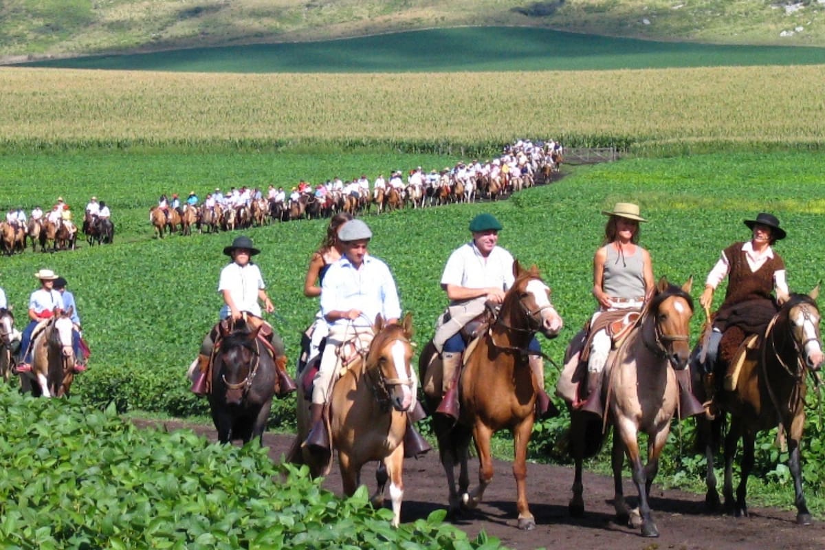 El caballo criollo será Marca País