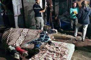 El caballo Gato, en el Centro de Rescate y Rehabilitación Equino, tras ser robado y recuperado con severas quebraduras; poco después, murió