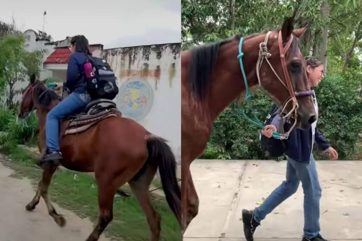El caballo le facilita llegar a su escuela (Foto: TikTok: @apolinar_prof)