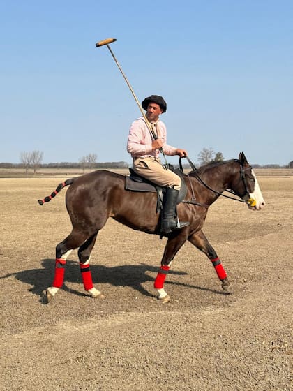 El caballo que tuvo solo un mes de doma
