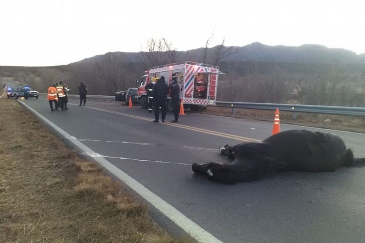 El caballo se cruzó en la ruta 38, por donde circulaba la víctima (Gentileza Cadena 3)