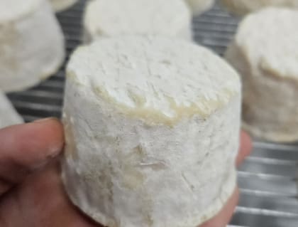 El Cabrarond tiene una maduración de 20 días; es de forma circular, similar a un Camembert; de corteza florecida e interior cremoso