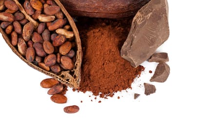El cacao es la semilla de una fruta que proviene del árbol denominado Theobroma Cacao