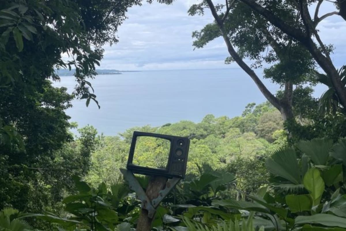 El cacao es uno de los tantos productos que crece en la granja de Javier Lijo