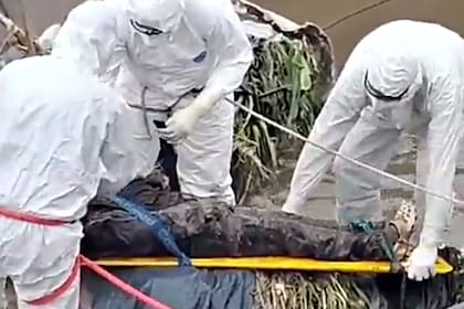 El cadáver de un hombre fue hallado en un arroyo