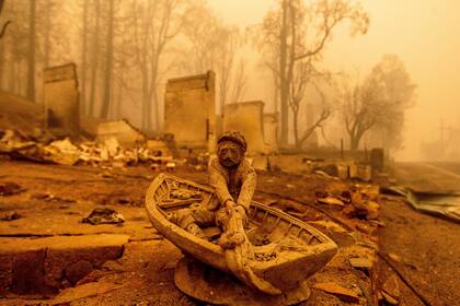 El cadáver de un venado yace frente a una vivienda destruida por el incendio forestal Dixie en la comunidad de Greenville, en el condado Plumas, en California, de acuerdo con esta imagen tomada el viernes 6 de agosto de 2021. (AP Foto/Noah Berger)