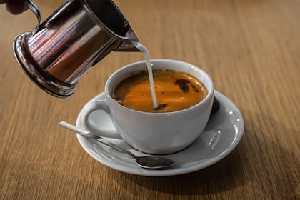 El café aporta nitrógeno, fósforo, potasio y otros micronutrientes, como magnesio y calcio al suelo